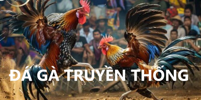 Đá gà truyền thống