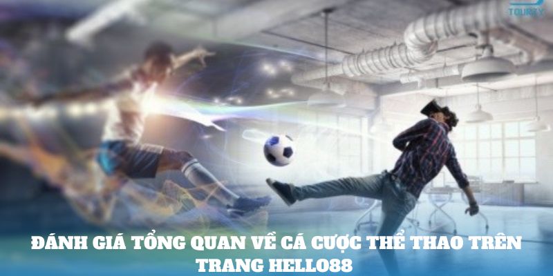 Đánh giá tổng quan về cá cược thể thao trên trang Hello88 